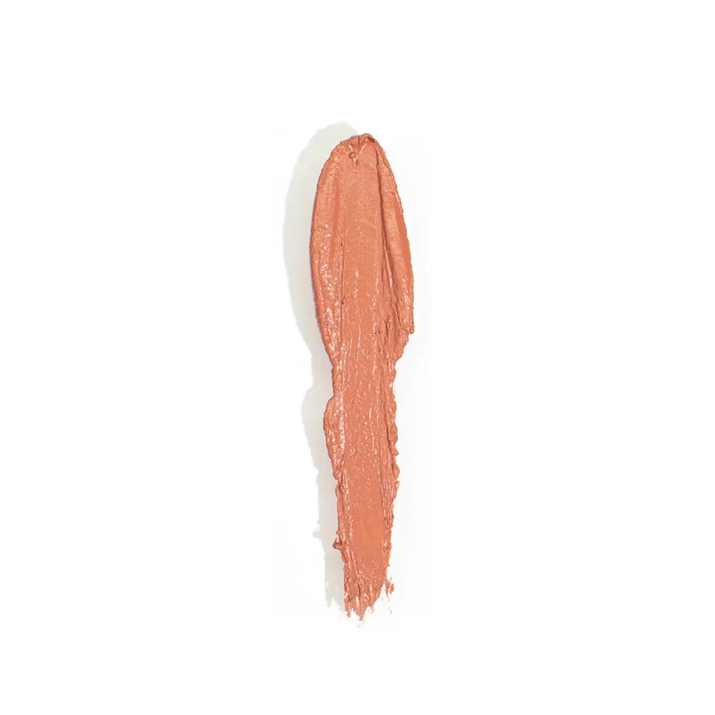 Lipstick Anna Rich Pigment Shade E Vegan with formula, hydrating - Red Bundle 3 and Cosmetics Items) infused Nourishing Pink Nude, Vitamin Squalane. & (3 matte Marti