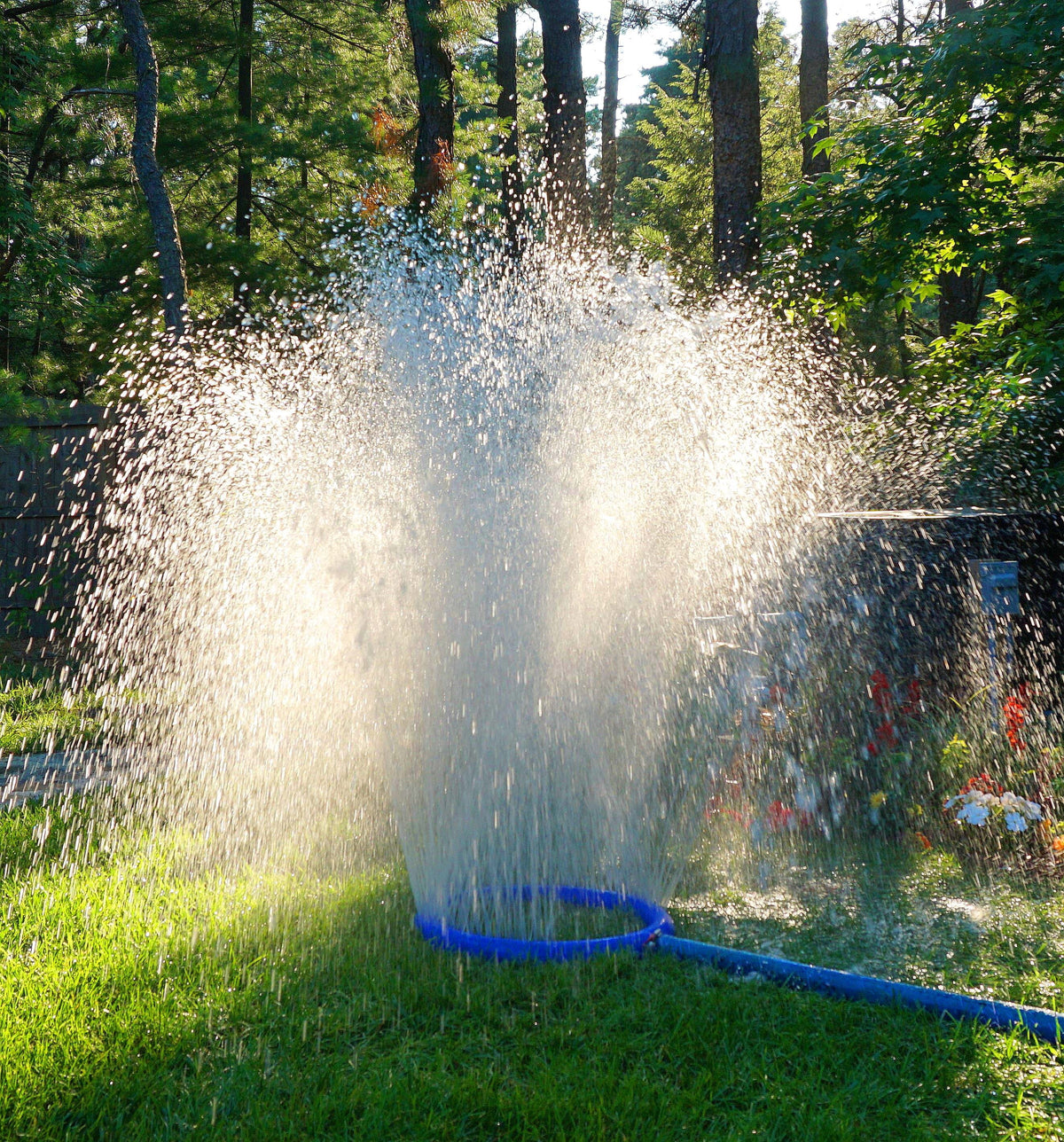 & Waste #400 1.5" with Backwash Water Swimming Pool Cartridge Hose for Fountain Sand Pools Filtered Kit Hose