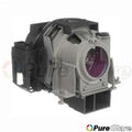 with Projector LAMP - NP61 Lamp OEM Nec Bulb Generic Original Housing