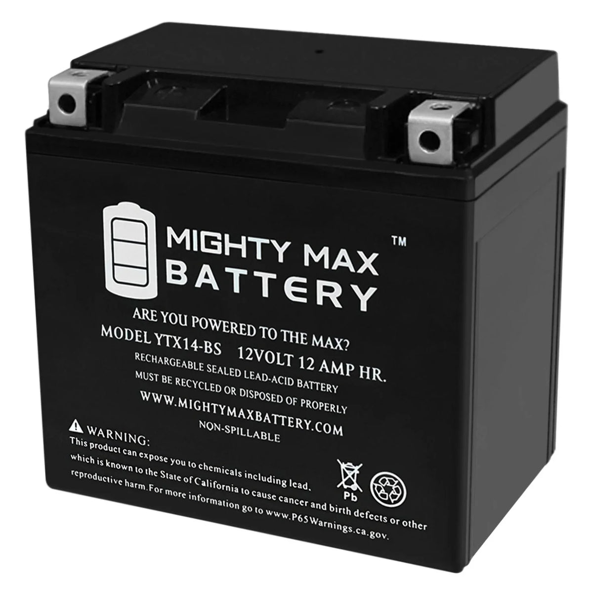 Replacement 300 Rubicon HONDA YTX14-BS for TRX Battery Foreman Rancher
