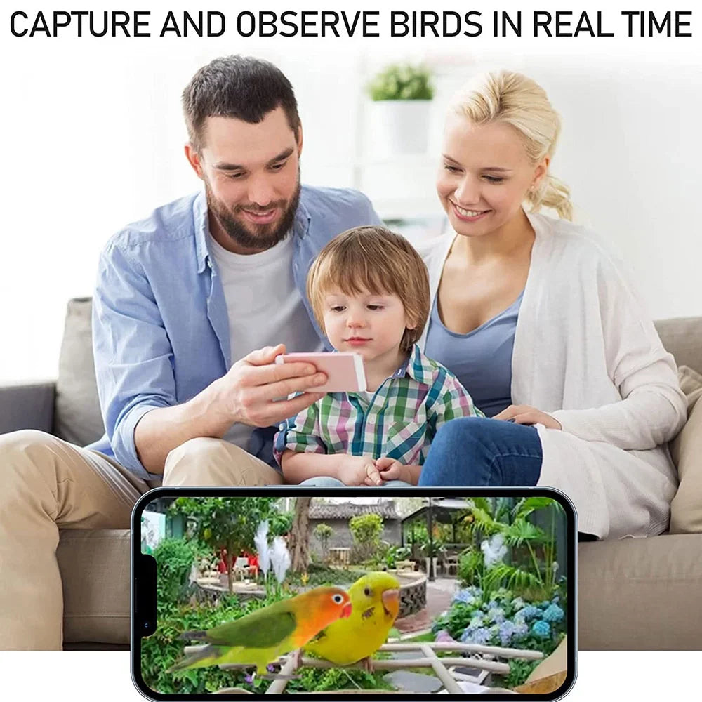 IP65 Capture for Smart AI Camera Waterproof Motion 1080P Bird Video Bird Auto Feeder 128G TF Detection Lovers Bird Dcenta Species Cards, Bird Identify Ideal Notification Real-time