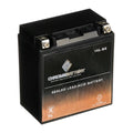 1991 (16L-BS Jet Ah, Battery 650cc Ski for X2 CCA) 230 Kawasaki Volt,14 YTX16L-BS Battery Jf650 Chrome 12