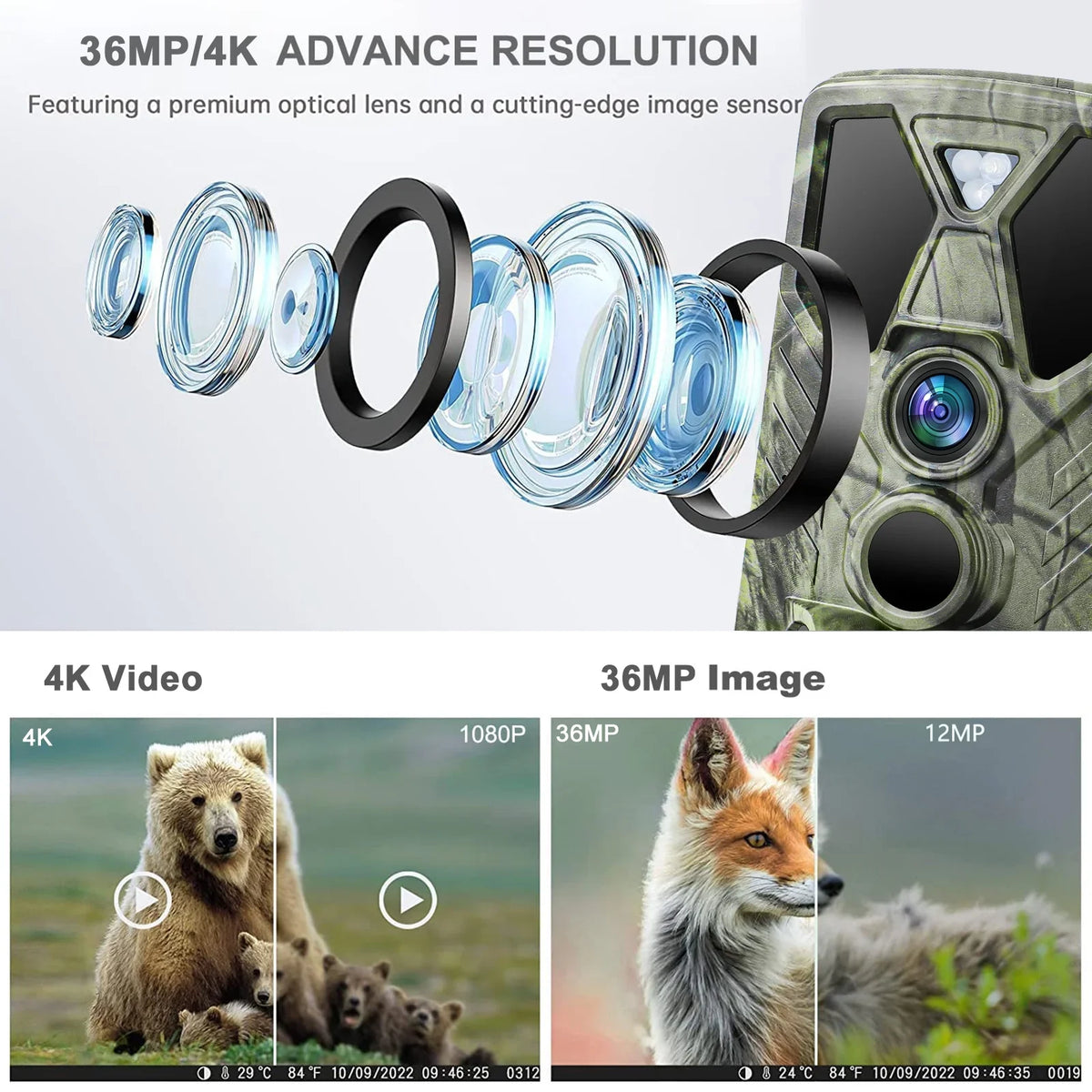 SuntekCam Card 36MP IR with Hunting Trail 4K Camera Night Vision HC-812A Wildgame Wildlife TF Monitors LED Waterproof 32GB Monitor Camera Trail Trail Hunting with