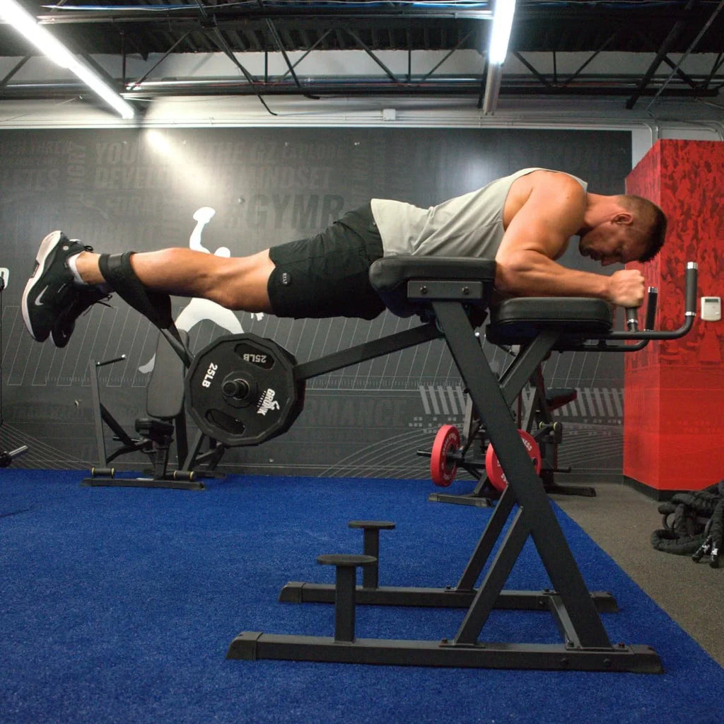 Gauge Target of | Steel Fitness Hyperextension 11 Machine Gronk Your Reverse Made | Loaded Back, and Plate Machine | Glutes Lower Hamstrings