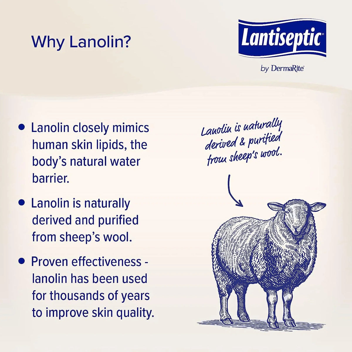 oz. Skin Cream Scent LS0710 Lanolin 1 Protectant Jar 14 Ct Lantiseptic