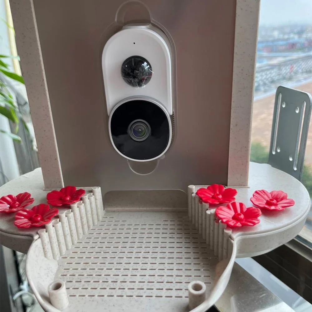 IP65 Capture for Smart AI Camera Waterproof Motion 1080P Bird Video Bird Auto Feeder 128G TF Detection Lovers Bird Dcenta Species Cards, Bird Identify Ideal Notification Real-time