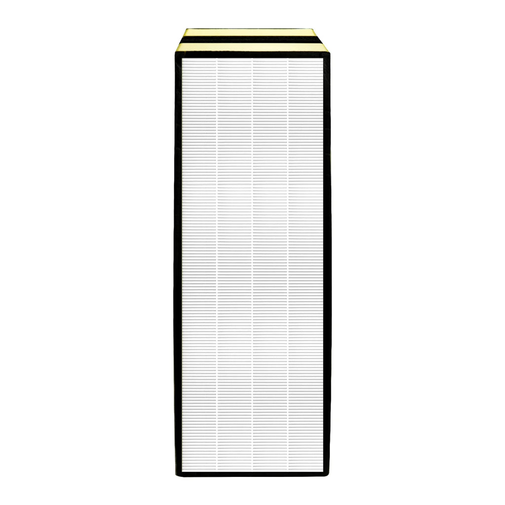 GermGuardian 2 Pack CDAP5500 C, Purifier, Carbon FLT5250PT and Hepa+10 AC5350B Filter AC5300B Compatible Activated HEPA HEPA AC5000E True 2 FLT5111 with Air Replacement AC5250PT Carbon FLT5000 Filter,