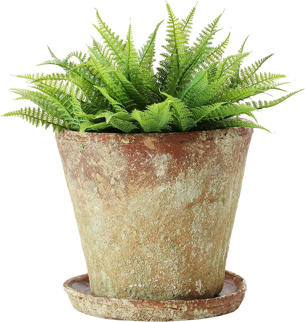 Pot) Distressed of Planter (Holds Co-Op with Terra-cotta 2 Set Cement Creative 8" Finish, Saucer,