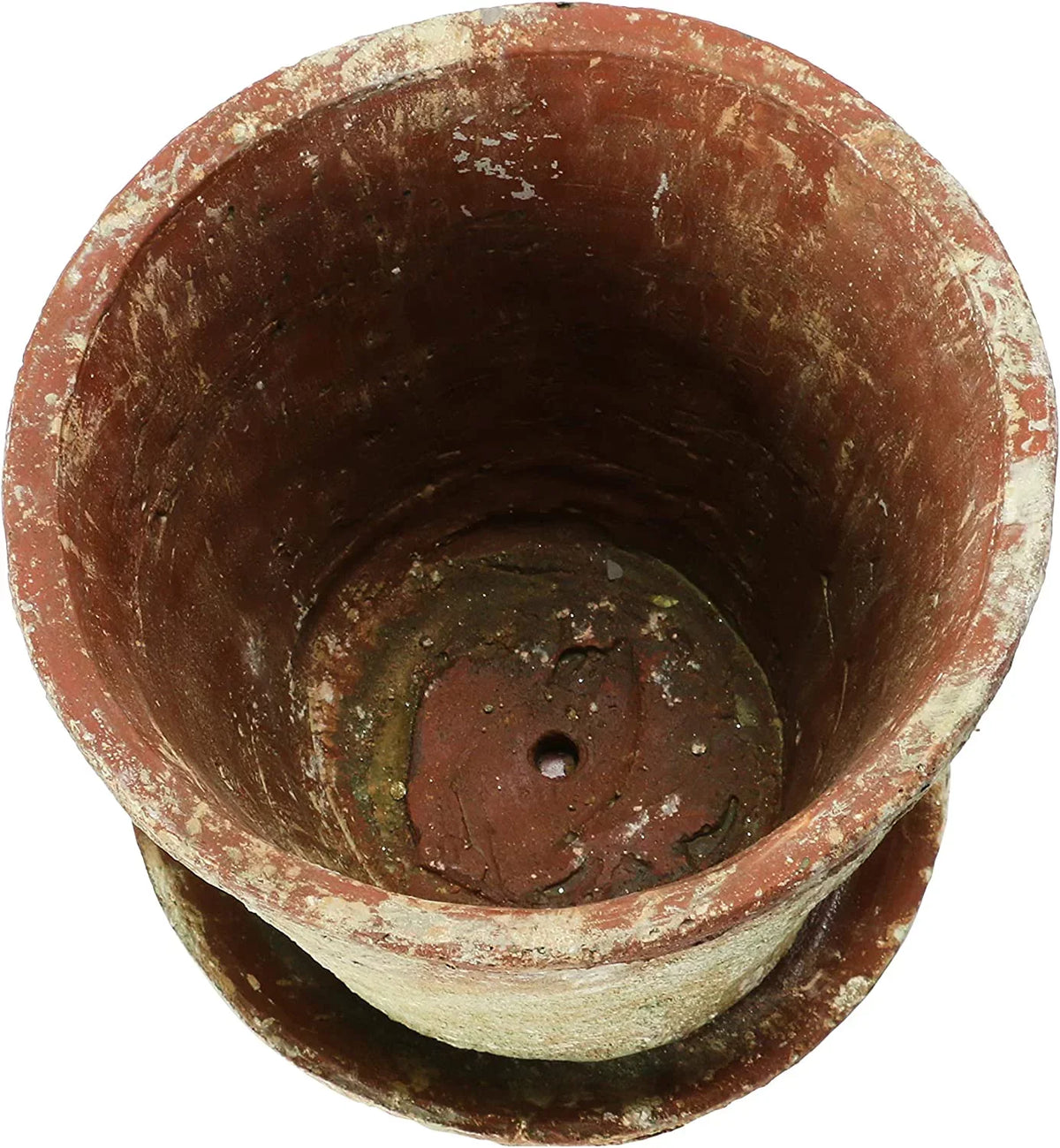 Pot) Distressed of Planter (Holds Co-Op with Terra-cotta 2 Set Cement Creative 8" Finish, Saucer,