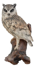 Owl Nature Lifelike Figurine Ebros Nocturnal With Glass Owl Tree Eagle Perching Statue Taxidermy 14.25"Tall Eurasian Realistic Wildlife On Eyes