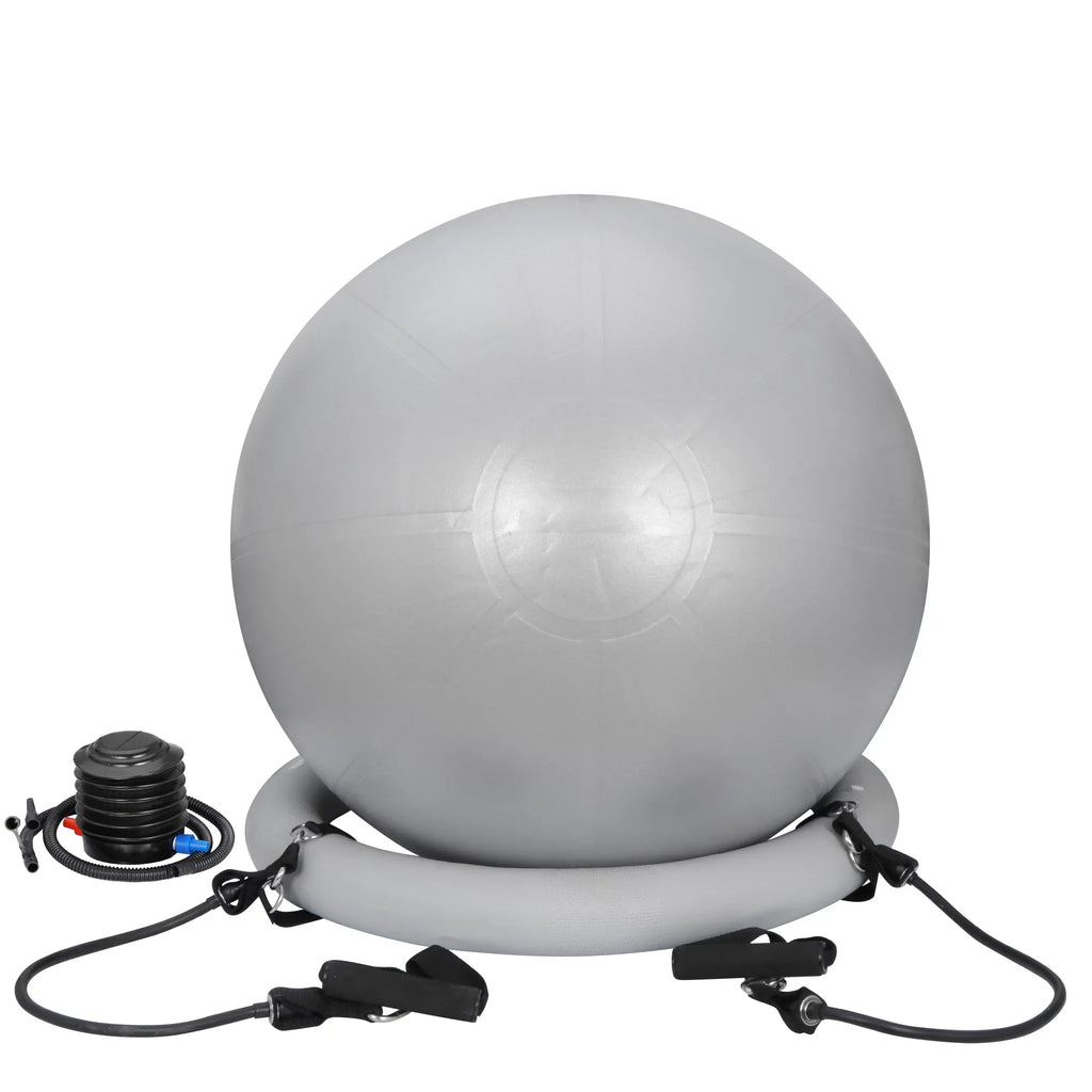 for Workout Anti- with ZENSTYLE & Ball Fitness Guide Ball Burst Birthing, Stability Balls Yoga,Pilates, Fitness & Balance Pump Quick Exercise