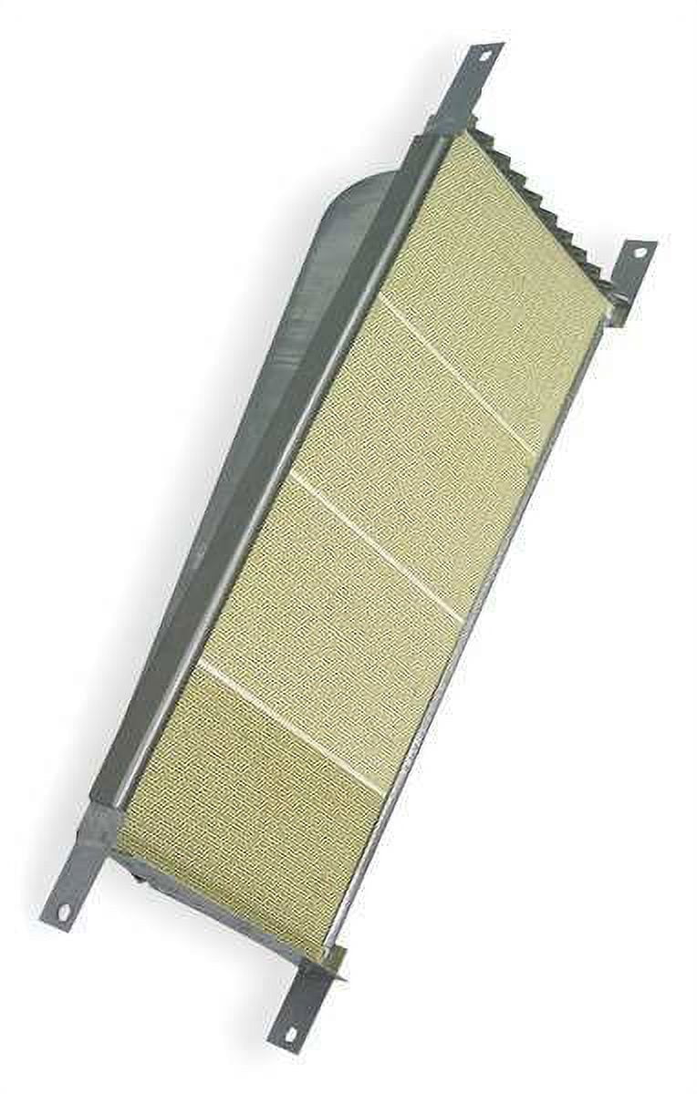 1pack Rayhead Dayton Intensity High 1FEL1