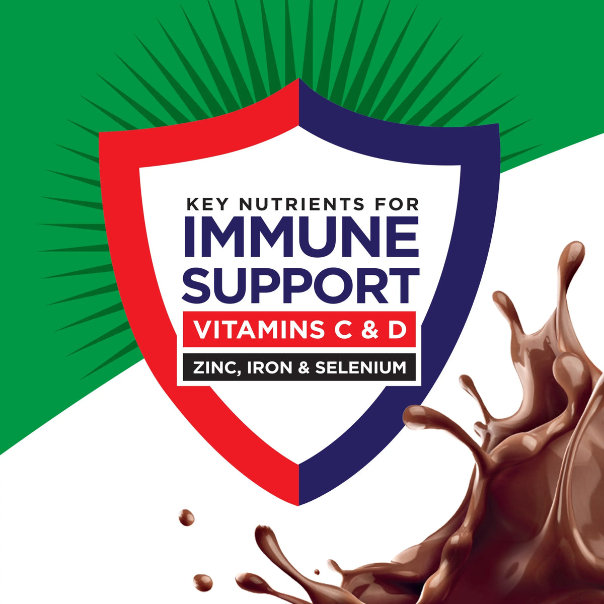 Count Rich Protein, - Protein Chocolate, (2 BOOST Packs) 20g 12 Nutritional Drink, 24 High