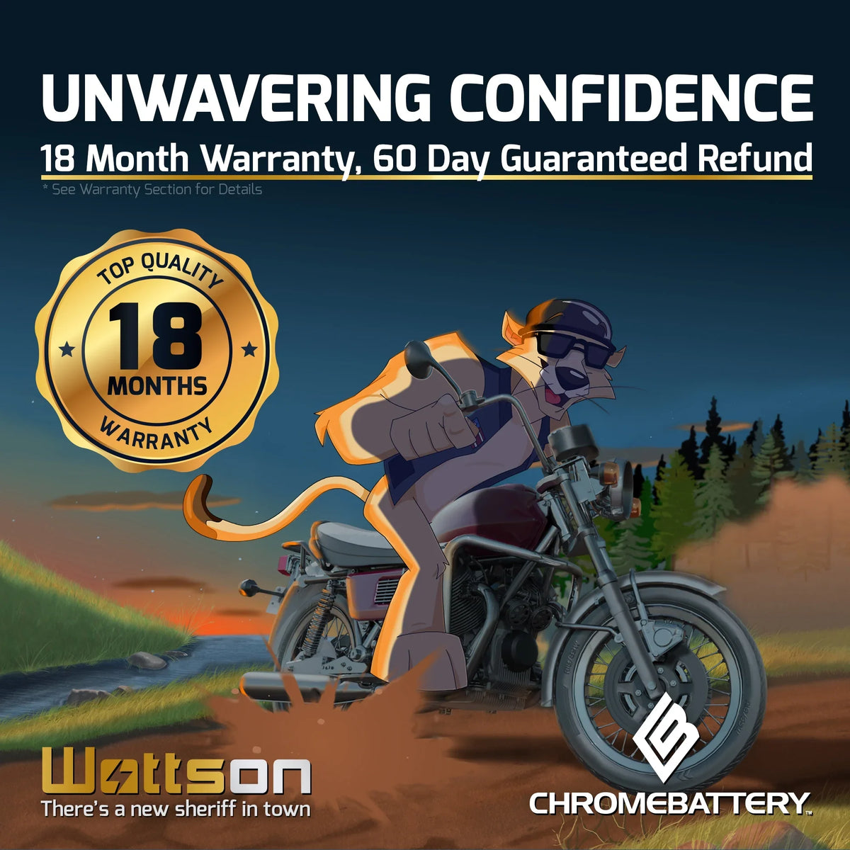 Yb16cl-b (16cl-bs Pirate 12 Cca) Models Battery Battery 1994 Ah, All Other 240 Jet for Ski Sea-doo Volts,19 Brp