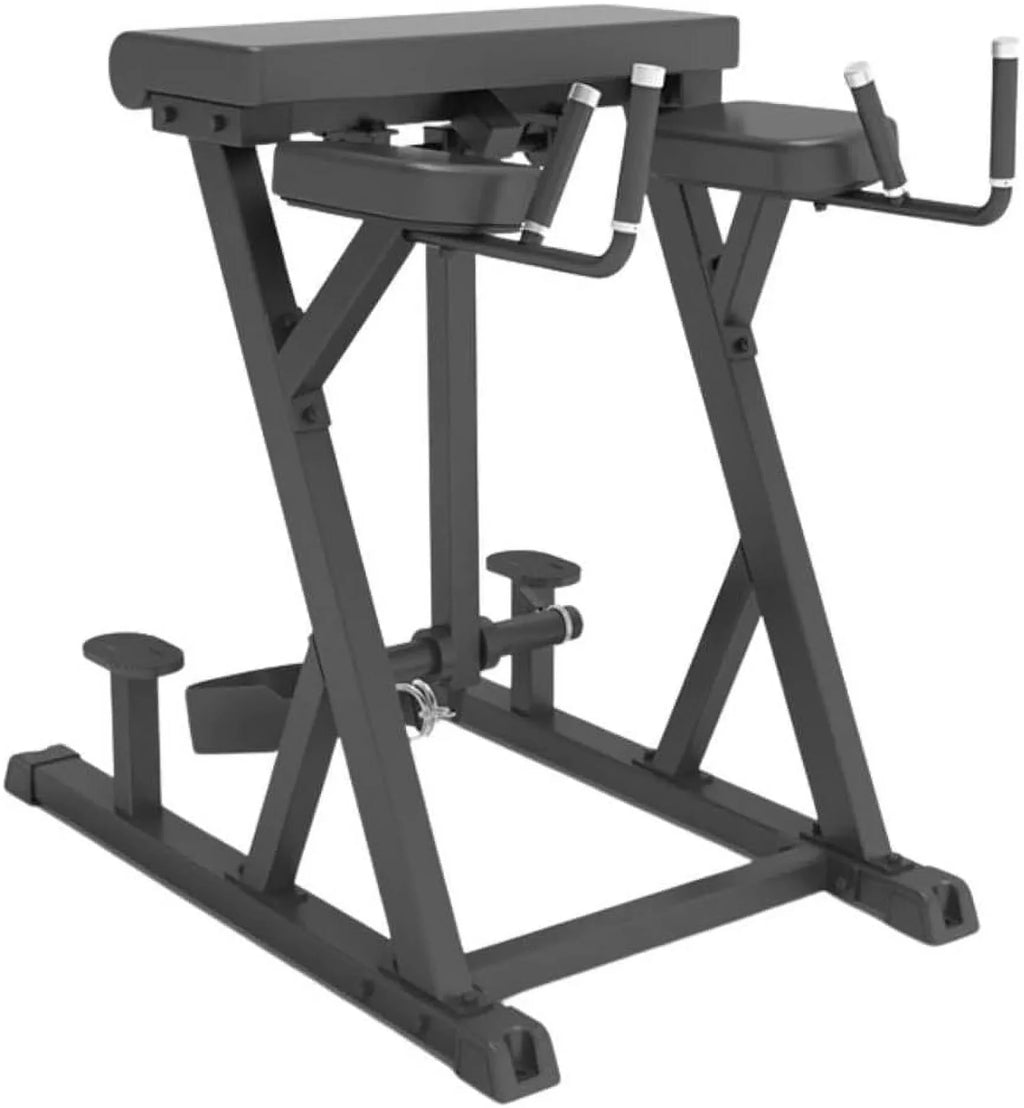 Gauge Target of | Steel Fitness Hyperextension 11 Machine Gronk Your Reverse Made | Loaded Back, and Plate Machine | Glutes Lower Hamstrings
