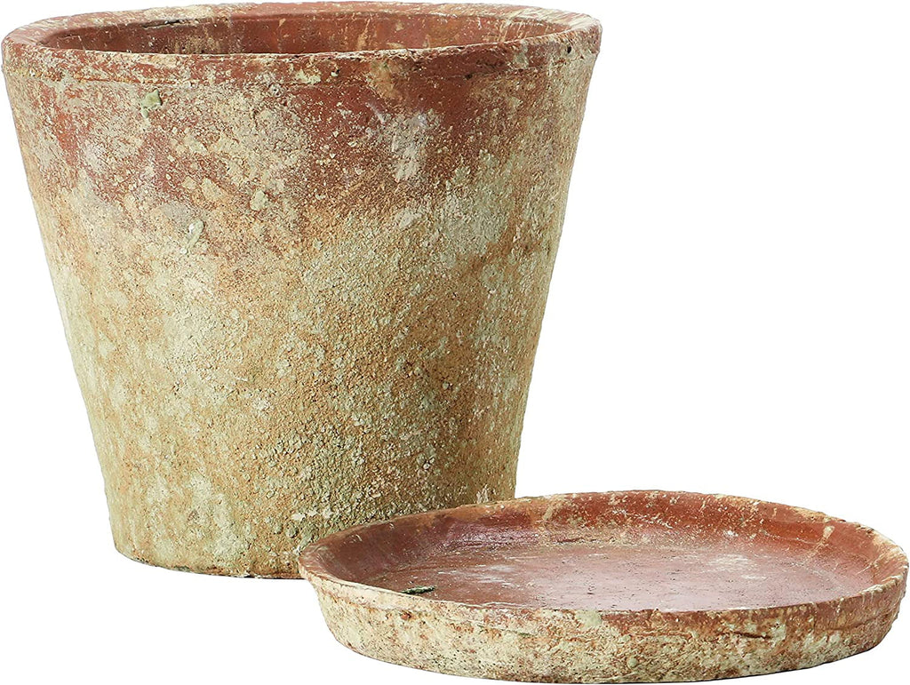 Pot) Distressed of Planter (Holds Co-Op with Terra-cotta 2 Set Cement Creative 8" Finish, Saucer,
