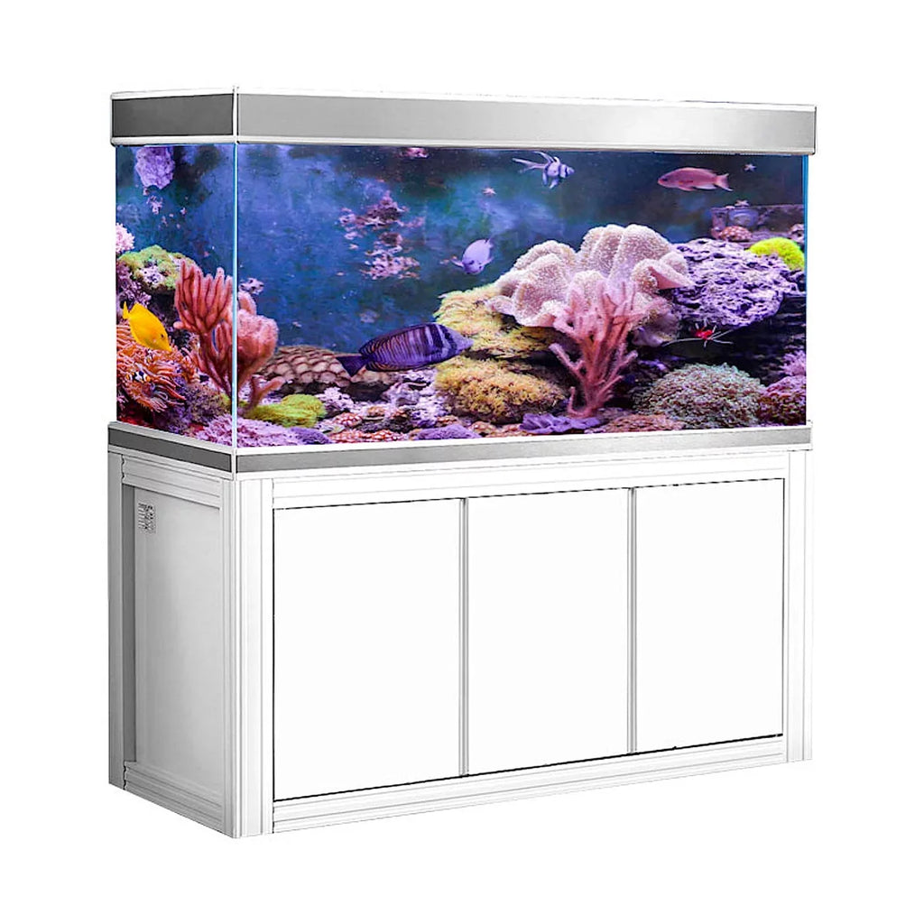 White Silver 145 Glass Aquarium Aqua All-in-one and Gallon Dream Tempered