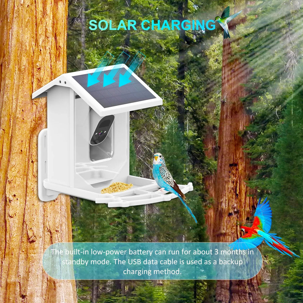 Solar Aibecy for Birds and Vision Low 1080P Camera Wildlife Bird Waterproof IP66 Night Camera