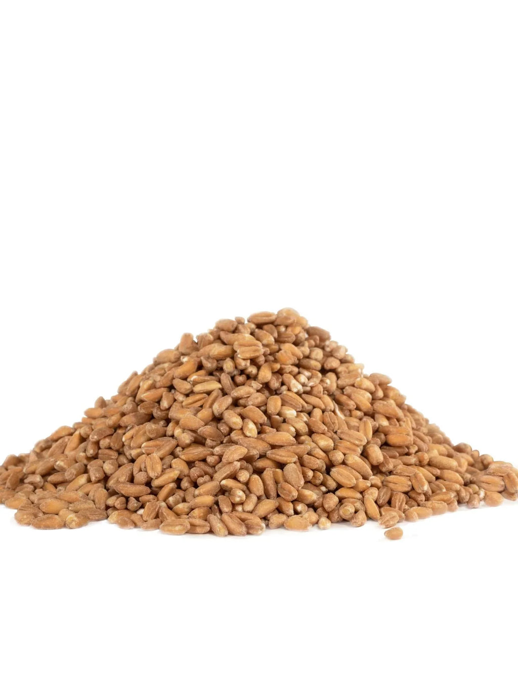 Organic Bob's Red Farro (Pack 4) Grain, Mill of 24 Ounce