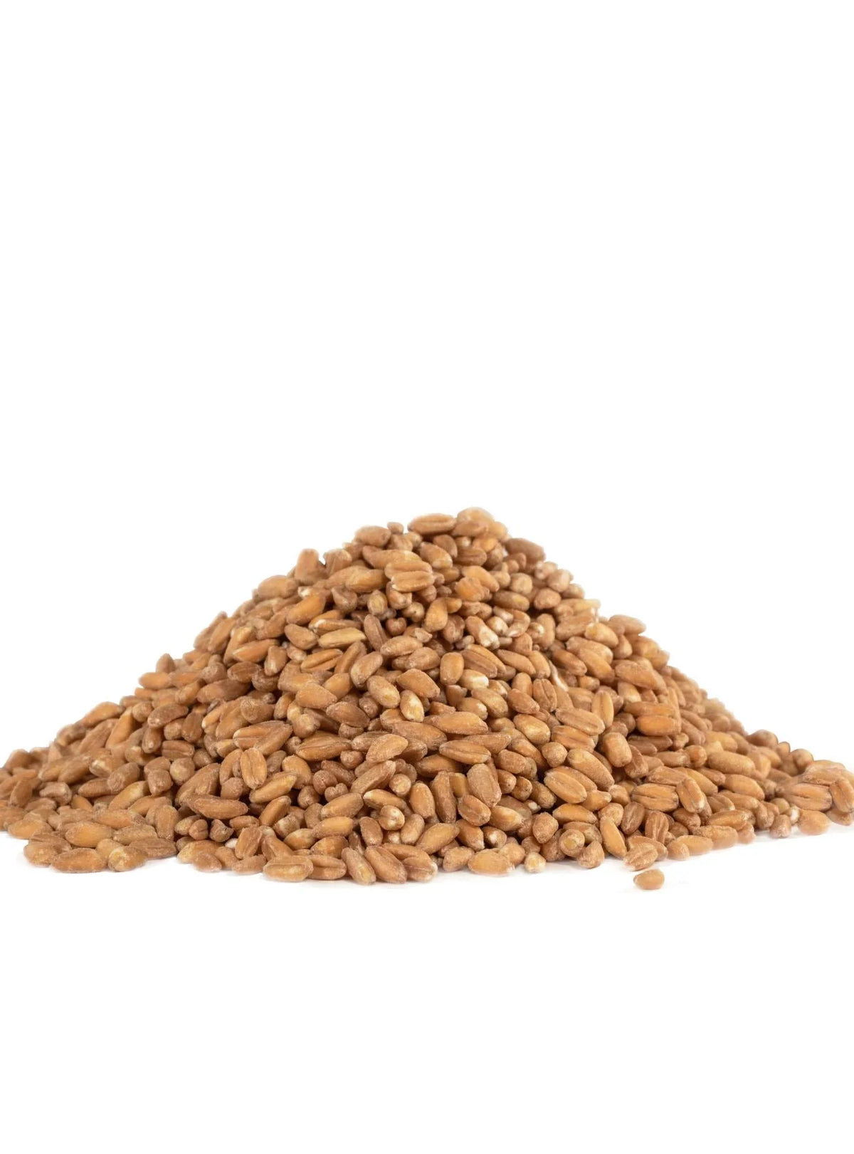 Organic Bob's Red Farro (Pack 4) Grain, Mill of 24 Ounce