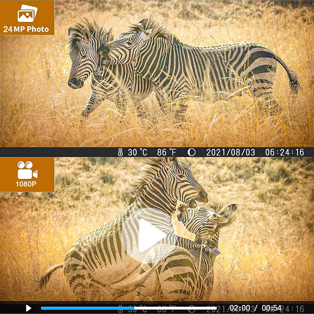 SuntekCam Card 36MP IR with Hunting Trail 4K Camera Night Vision HC-812A Wildgame Wildlife TF Monitors LED Waterproof 32GB Monitor Camera Trail Trail Hunting with