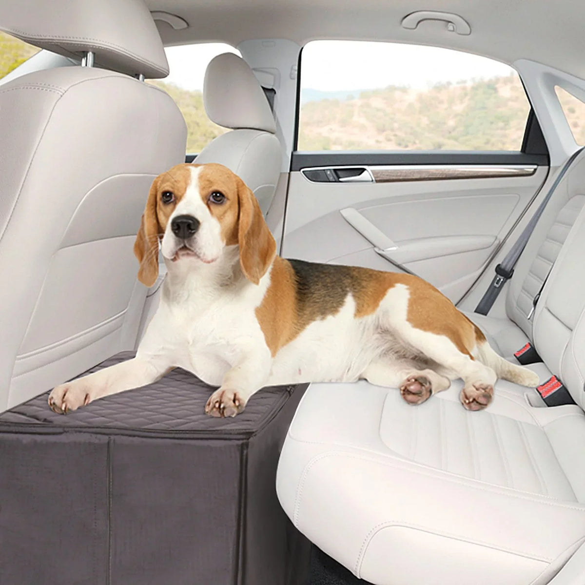 Comfortable Safer MSR Seat More Storage Black Platform Seat Back Imports Back Extender Dog and Car