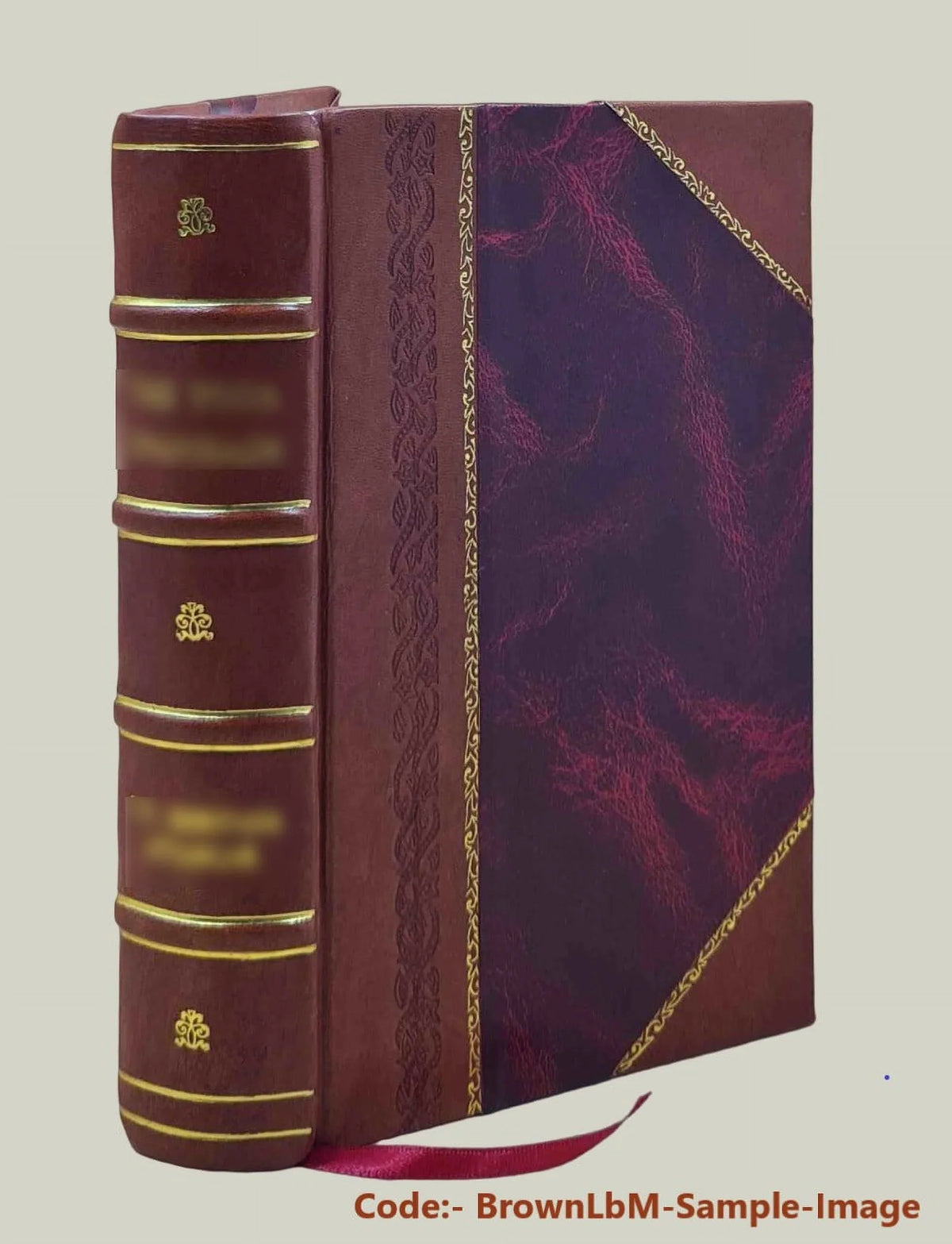 Bound] Petőfi Sándor. 1926 [Leather