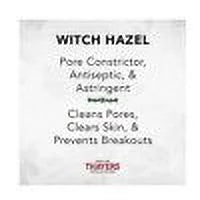 Aloe Witch Pack 3 Original 60 Pads Thayers Astringent Hazel Formula Vera Ct