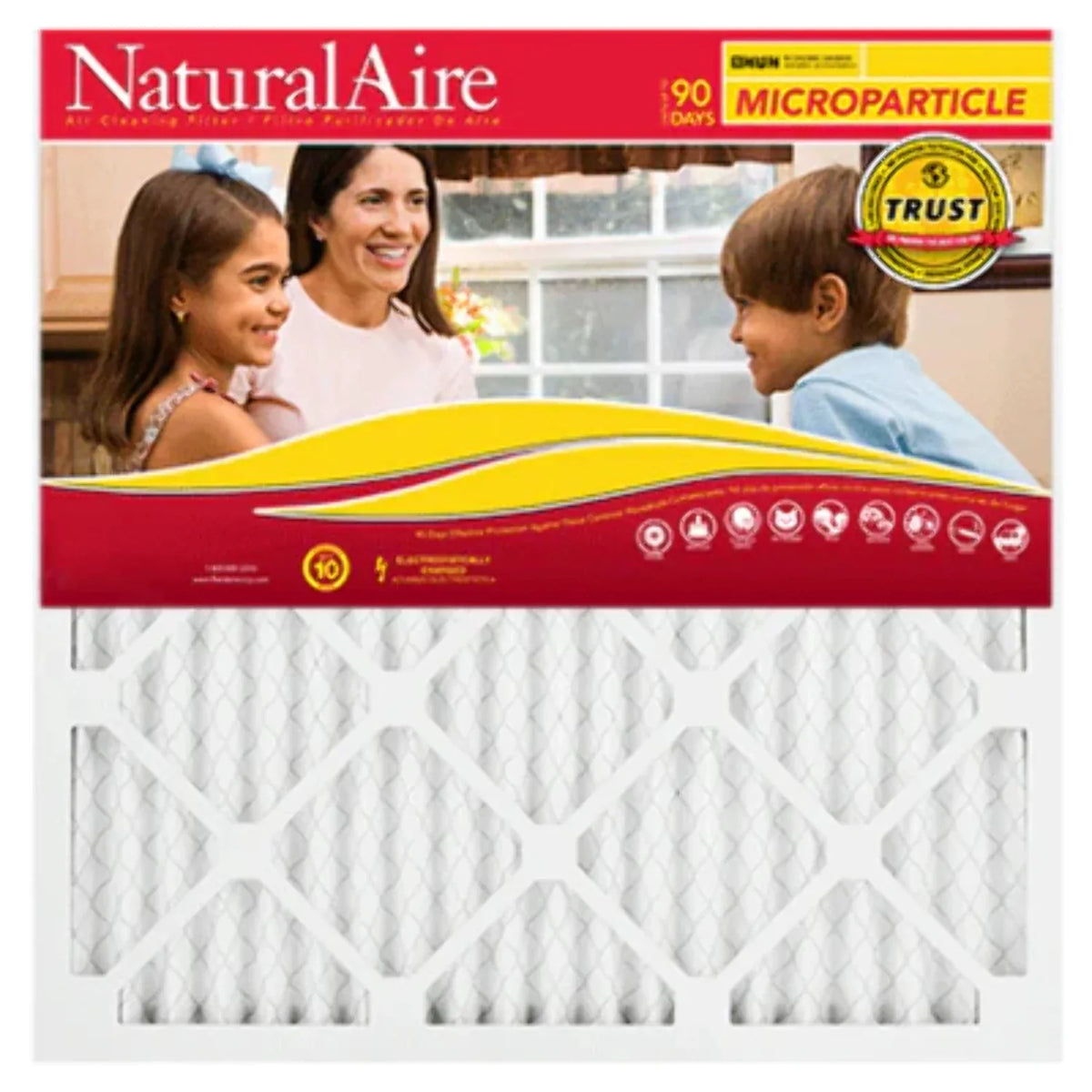 MERV 18x30x1 10 (6 85256.011830 NaturalAire Microparticle pack) Filters