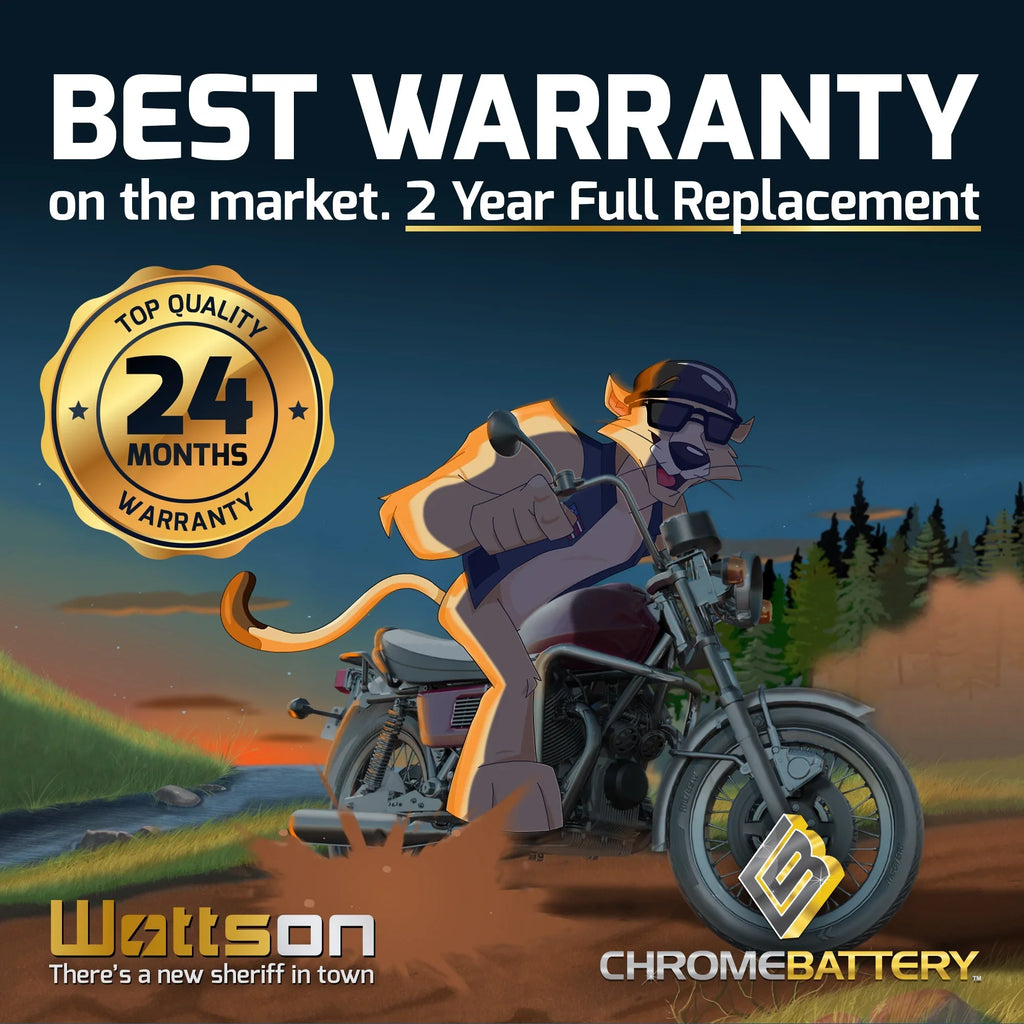 (14b-bs 12 Battery Performace Ah, Power Cca) Volts,12 Sports High Battery Chrome Yt14b-bs 135