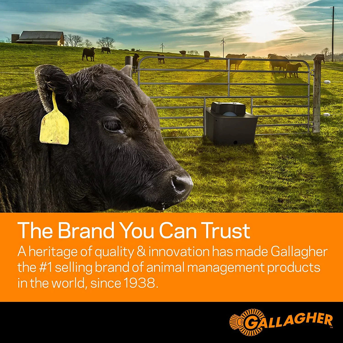 Poultry Gallagher All 1 A207015 48 Netting in. In