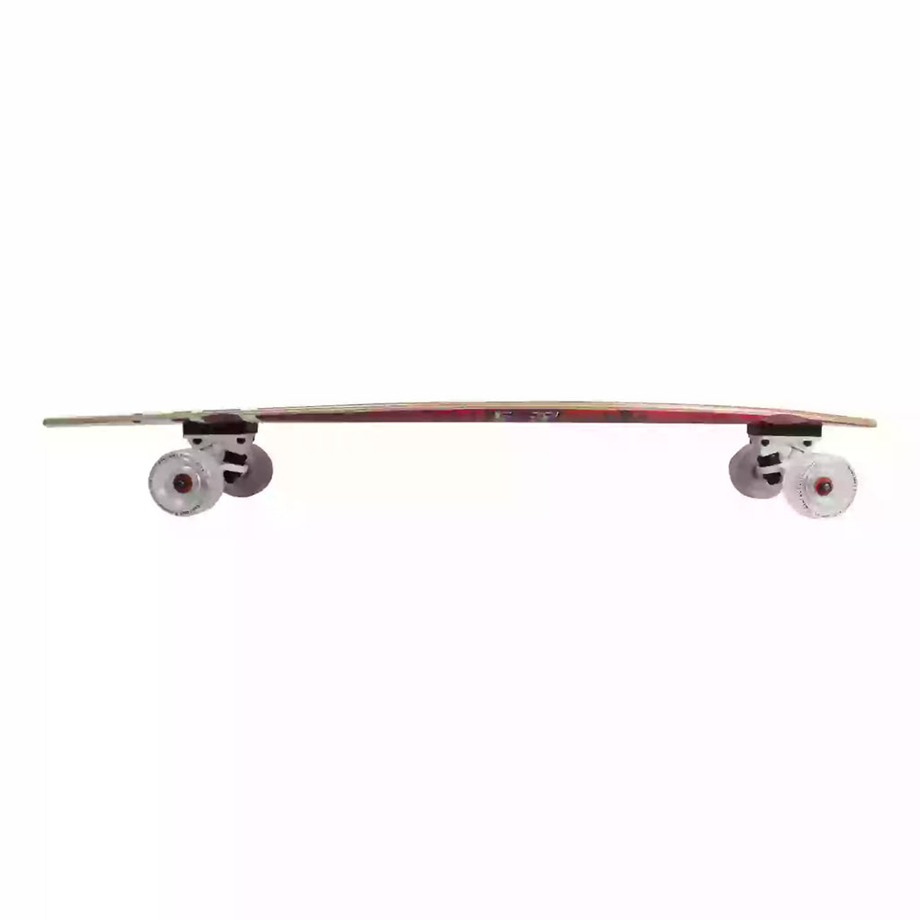 Complete Swallow Retro Shape Longboard Fish 39.5" x 9.5" Paradise Tail