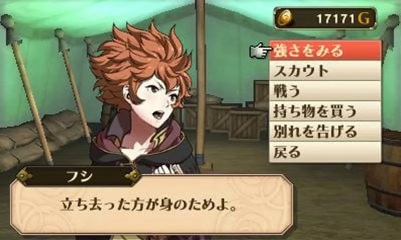 Nintendo Emblem 045496742355 Awakening 3DS Fire Nintendo
