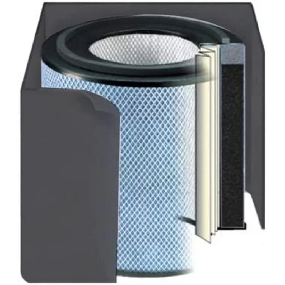1 Austin Standard, Health-Mate Filter Purifier, Air Air Black FR400A