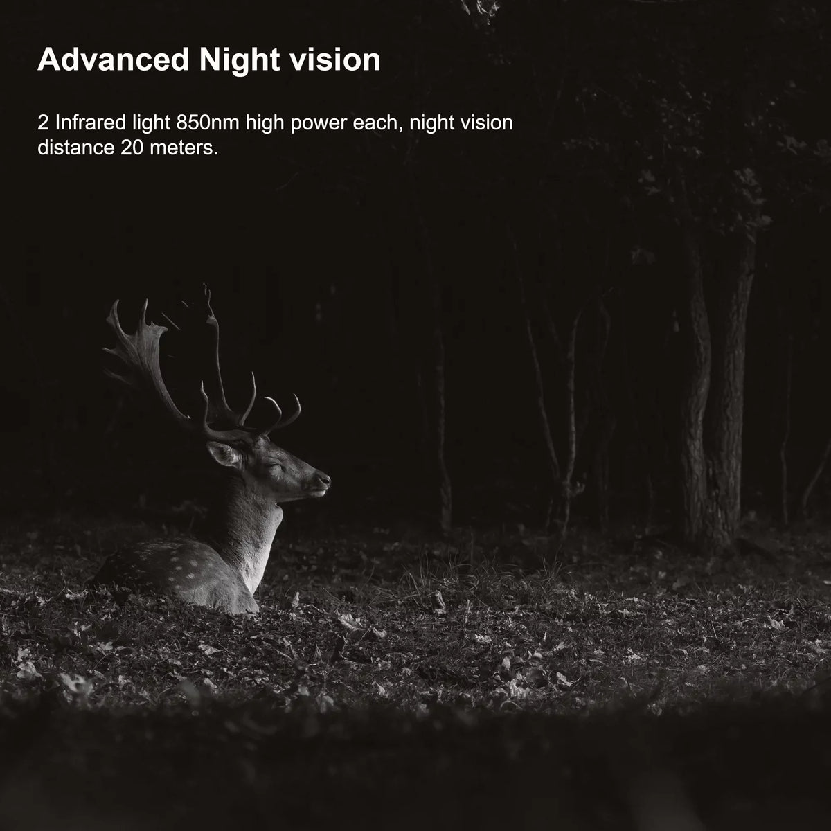 Rexing CMOS Trail for Surveillance 4K H2 Outdoor, Camera Sensor Wi-Fi Motion Cam W/ 20MP Hunting