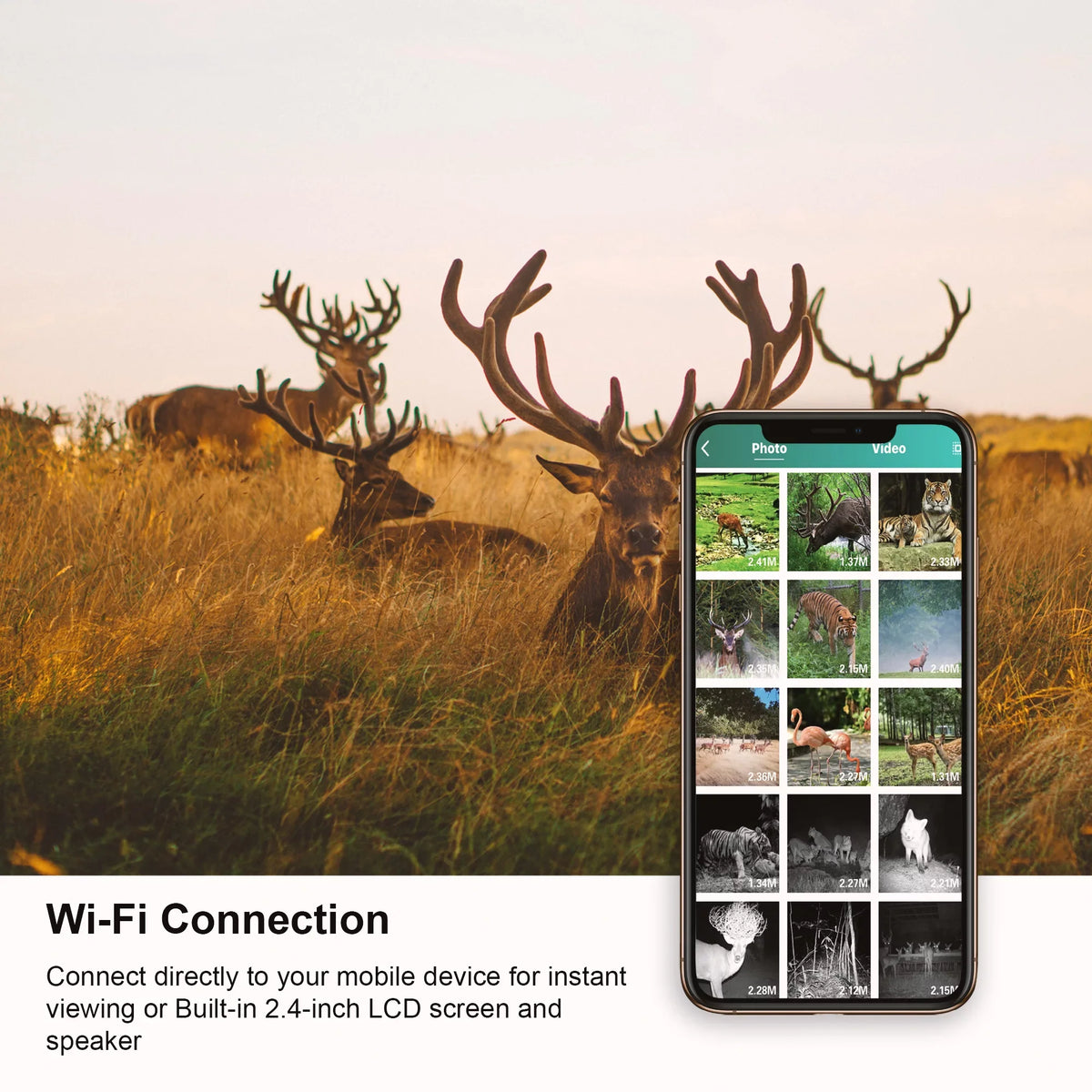 Rexing CMOS Trail for Surveillance 4K H2 Outdoor, Camera Sensor Wi-Fi Motion Cam W/ 20MP Hunting