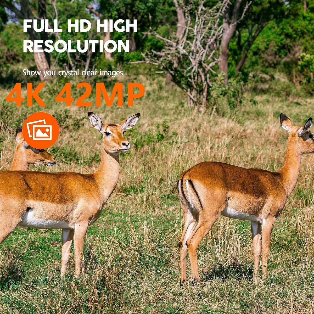 WiFi Cam Monitoring 30fps Activated 42MP with Trail Motion IP66 CAMPARK Waterproof 3 Trail Game for Sensor Native PIR 4K Angle Camera Deer 120° Bluetooth Camera Night Wildlife Vision Wide Hunting