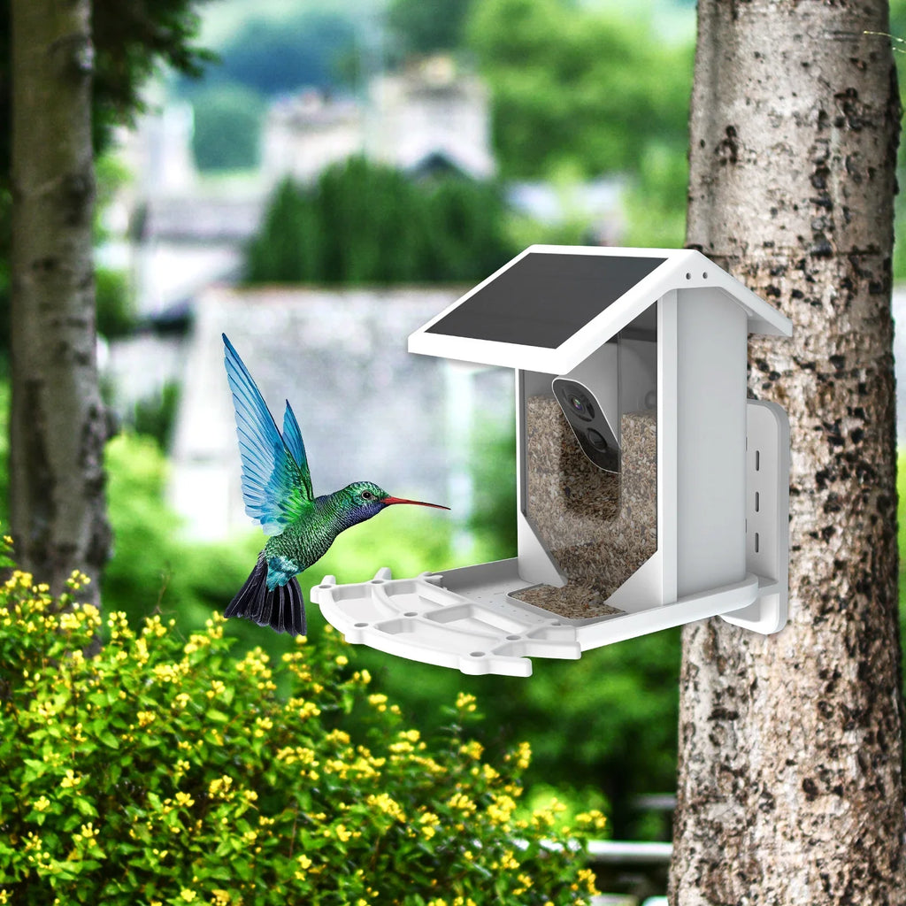 Solar Aibecy for Birds and Vision Low 1080P Camera Wildlife Bird Waterproof IP66 Night Camera