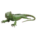 Lizard Large Reptile Iguana Size Bearded Life Giant Rubber Foam XL Dragon Movie Green Prop Filled