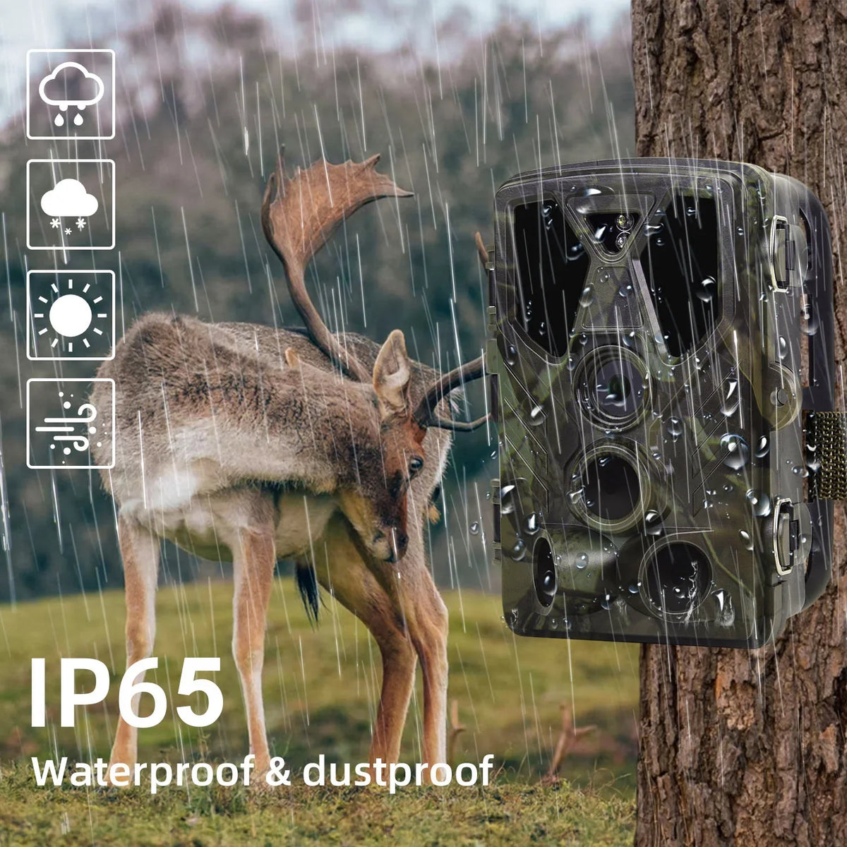 SuntekCam Card 36MP IR with Hunting Trail 4K Camera Night Vision HC-812A Wildgame Wildlife TF Monitors LED Waterproof 32GB Monitor Camera Trail Trail Hunting with
