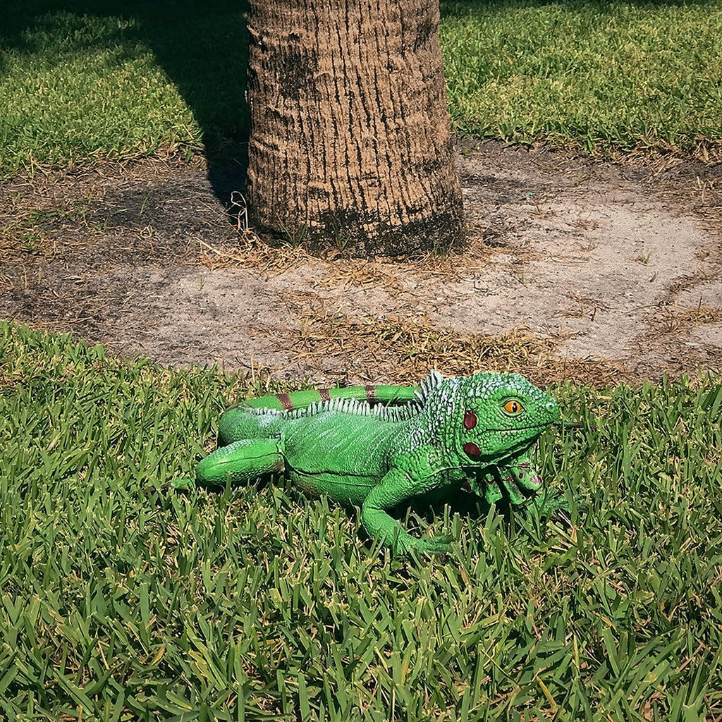 Lizard Large Reptile Iguana Size Bearded Life Giant Rubber Foam XL Dragon Movie Green Prop Filled