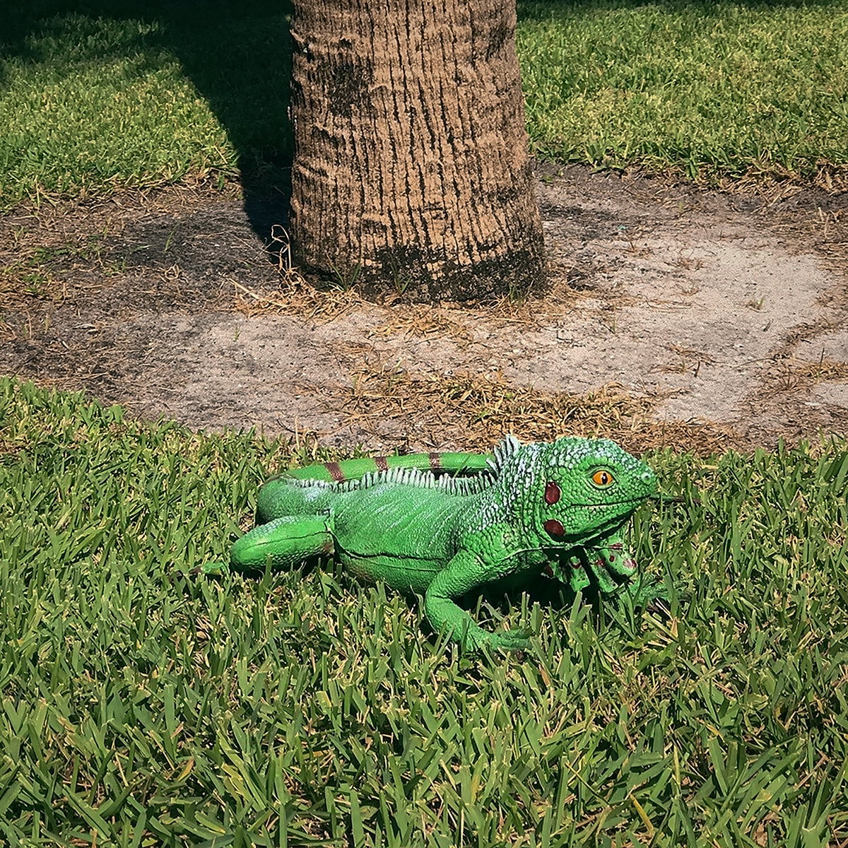 Lizard Large Reptile Iguana Size Bearded Life Giant Rubber Foam XL Dragon Movie Green Prop Filled