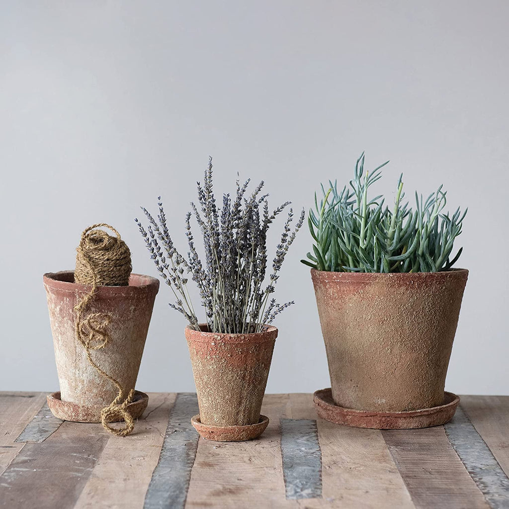 Pot) Distressed of Planter (Holds Co-Op with Terra-cotta 2 Set Cement Creative 8" Finish, Saucer,