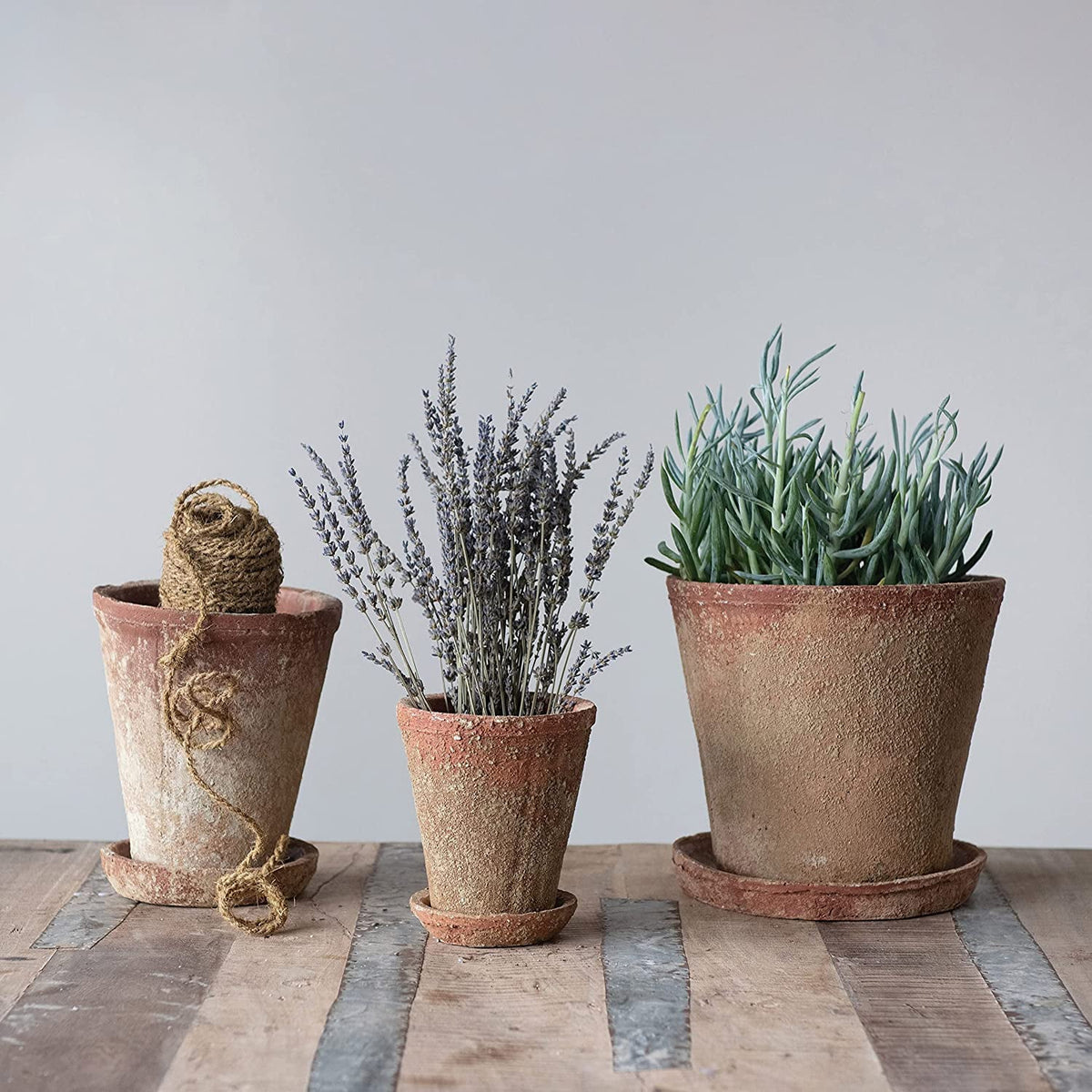 Pot) Distressed of Planter (Holds Co-Op with Terra-cotta 2 Set Cement Creative 8" Finish, Saucer,