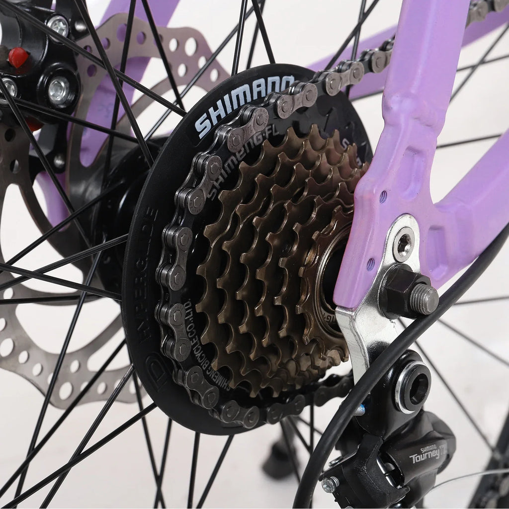 Disc Dual Mountain, Mountain Men's 26-inch Women's Bike, Frame，Purple Bike, City and Brakes, Alloy Magnesium 21-speed HALJEN