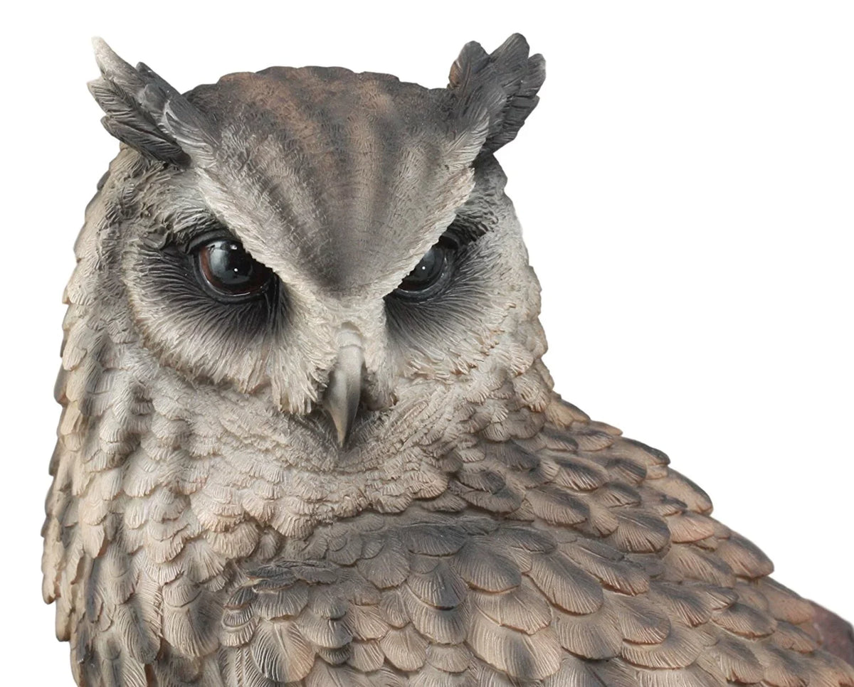 Owl Nature Lifelike Figurine Ebros Nocturnal With Glass Owl Tree Eagle Perching Statue Taxidermy 14.25"Tall Eurasian Realistic Wildlife On Eyes