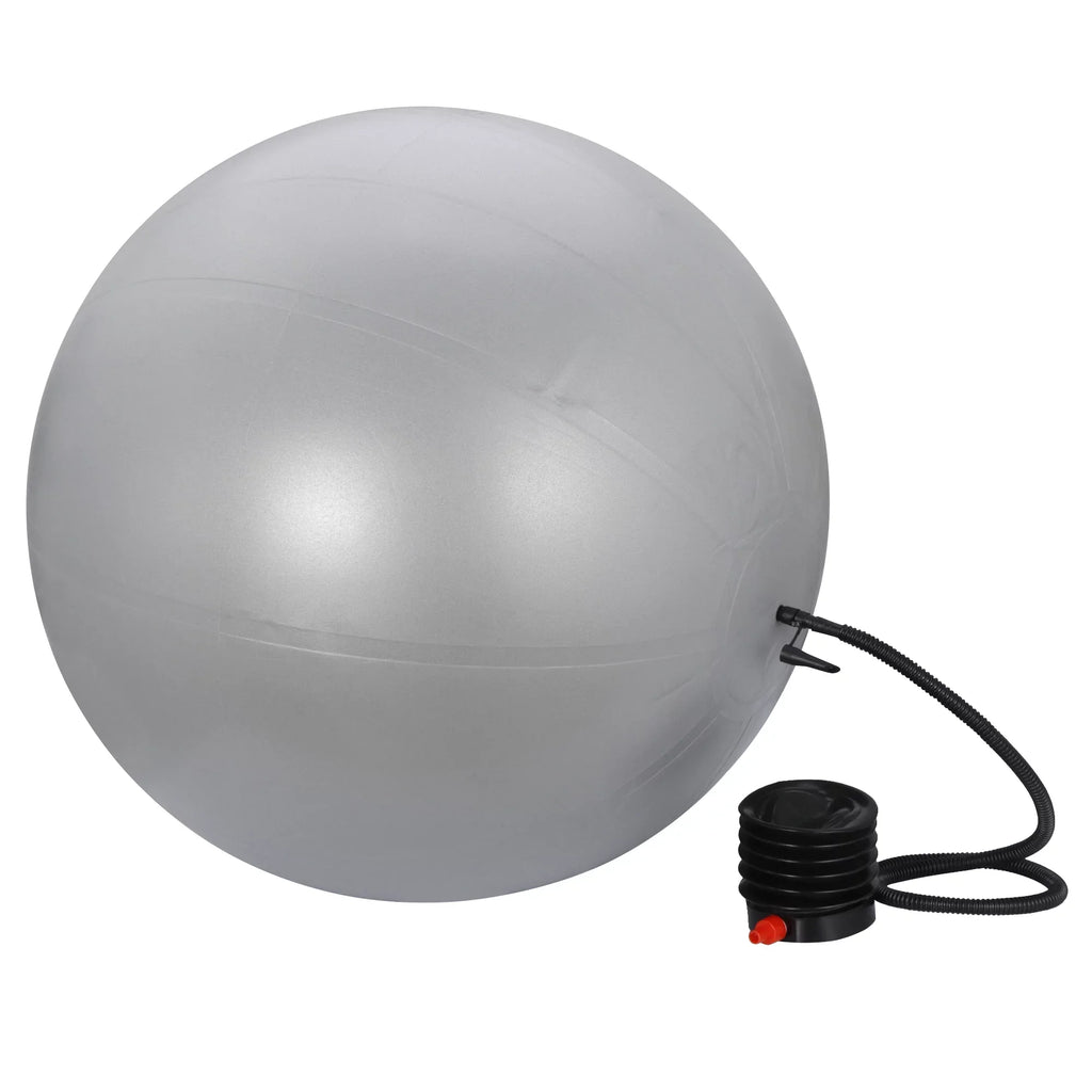 for Workout Anti- with ZENSTYLE & Ball Fitness Guide Ball Burst Birthing, Stability Balls Yoga,Pilates, Fitness & Balance Pump Quick Exercise