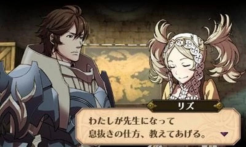 Nintendo Emblem 045496742355 Awakening 3DS Fire Nintendo