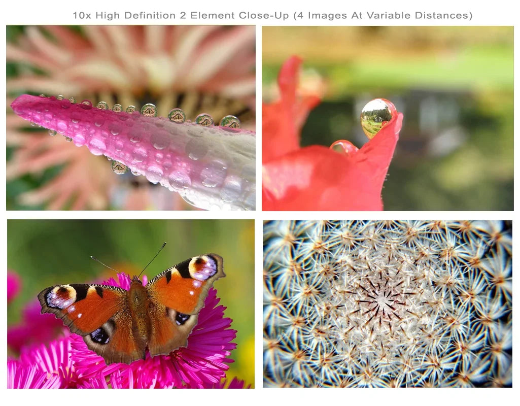 Sony High A3000 Element 2 Definition Alpha Close-Up 10x (Macro) Lens (67mm)