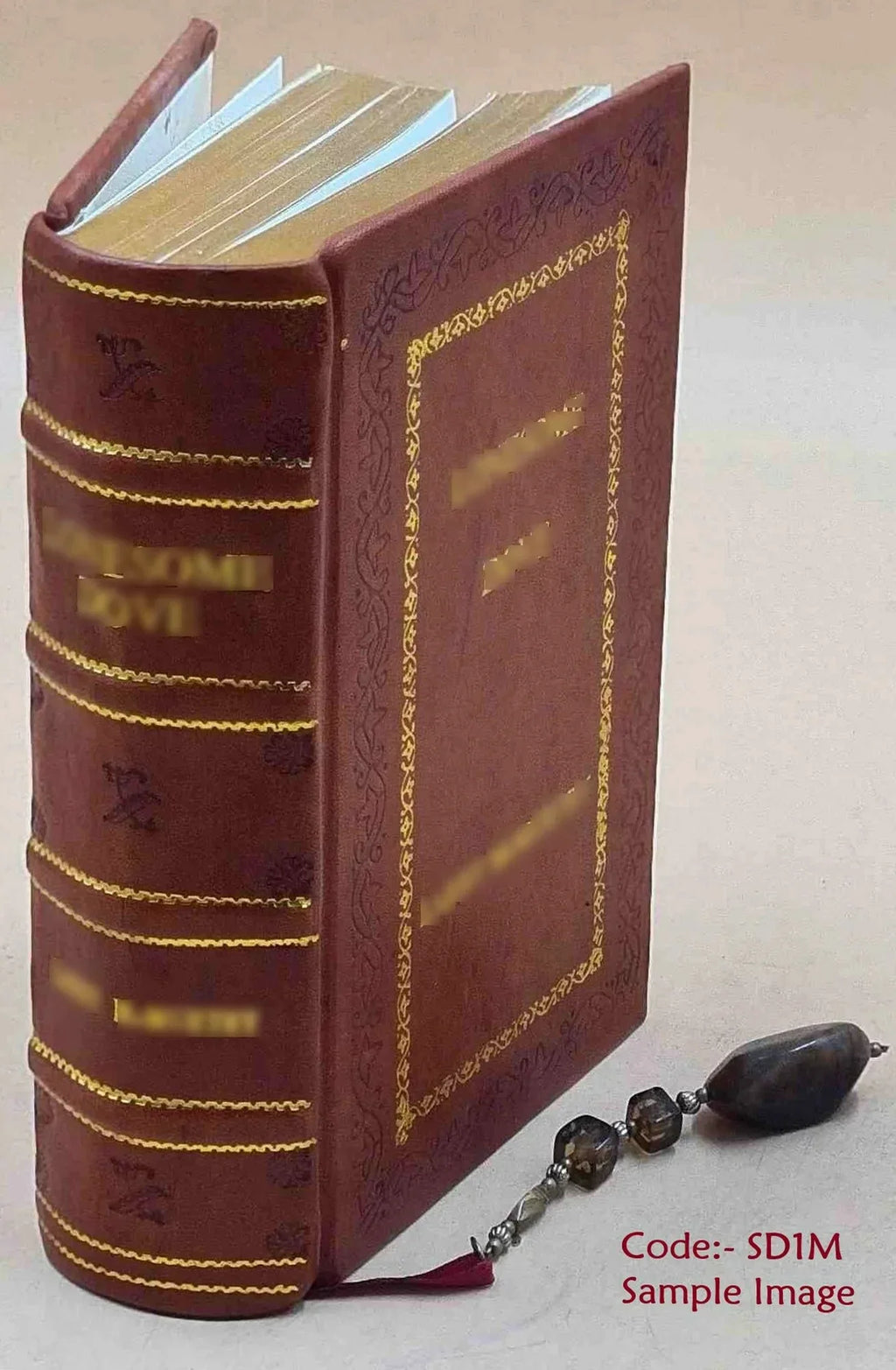 Salomon L'Odyssée Bound] la de 1604 Leather Certon,... [Premium version d'Homère... de